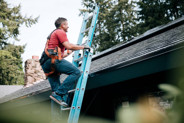 Best Roof Coating and Sealing  in Edwardsville, PA