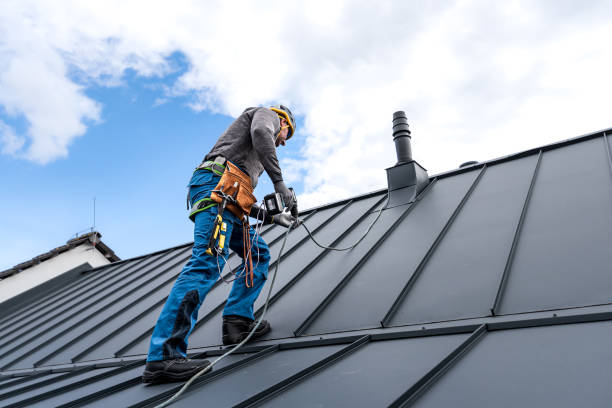 Best Roof Maintenance and Cleaning  in Edwardsville, PA